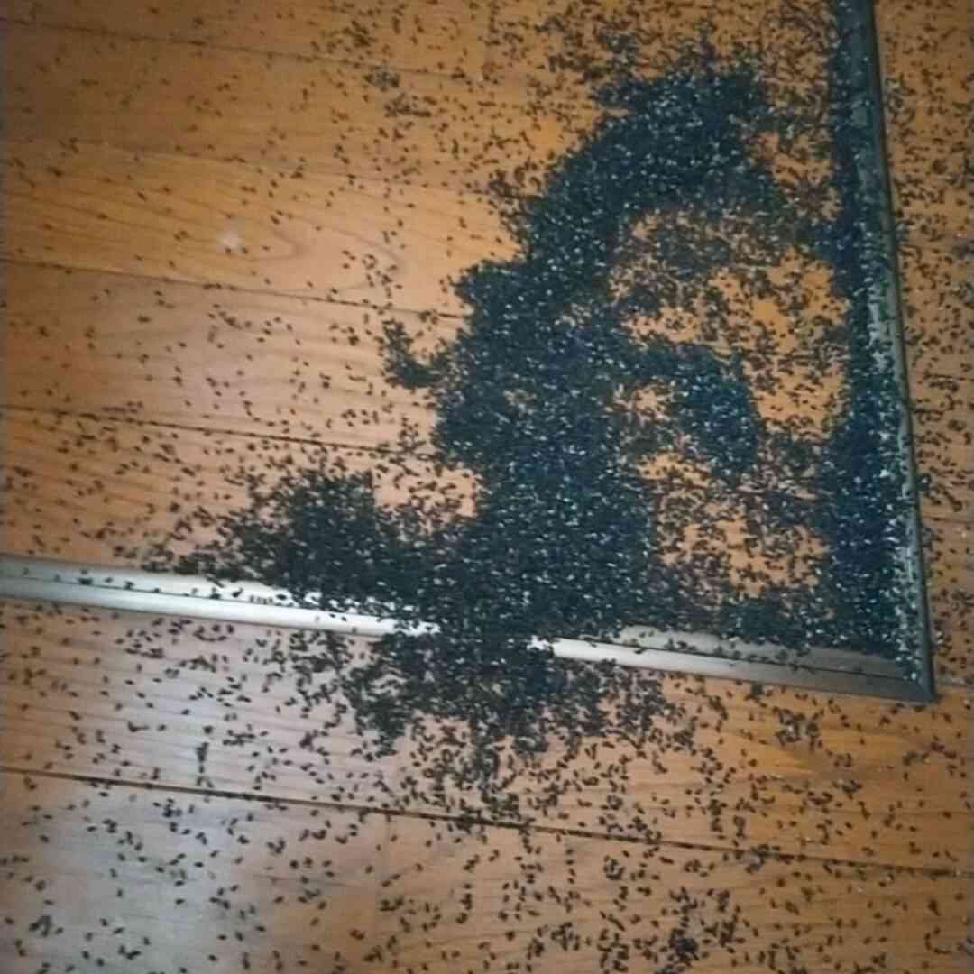 キッチンでやらかした事件簿