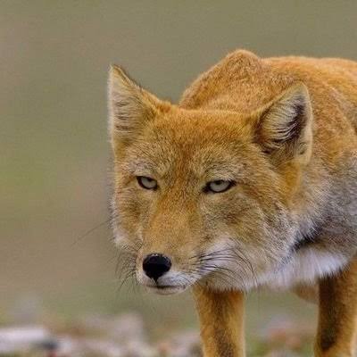 恋愛で変わった願望や思考の方