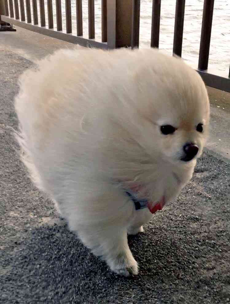 小さな悩みがある人