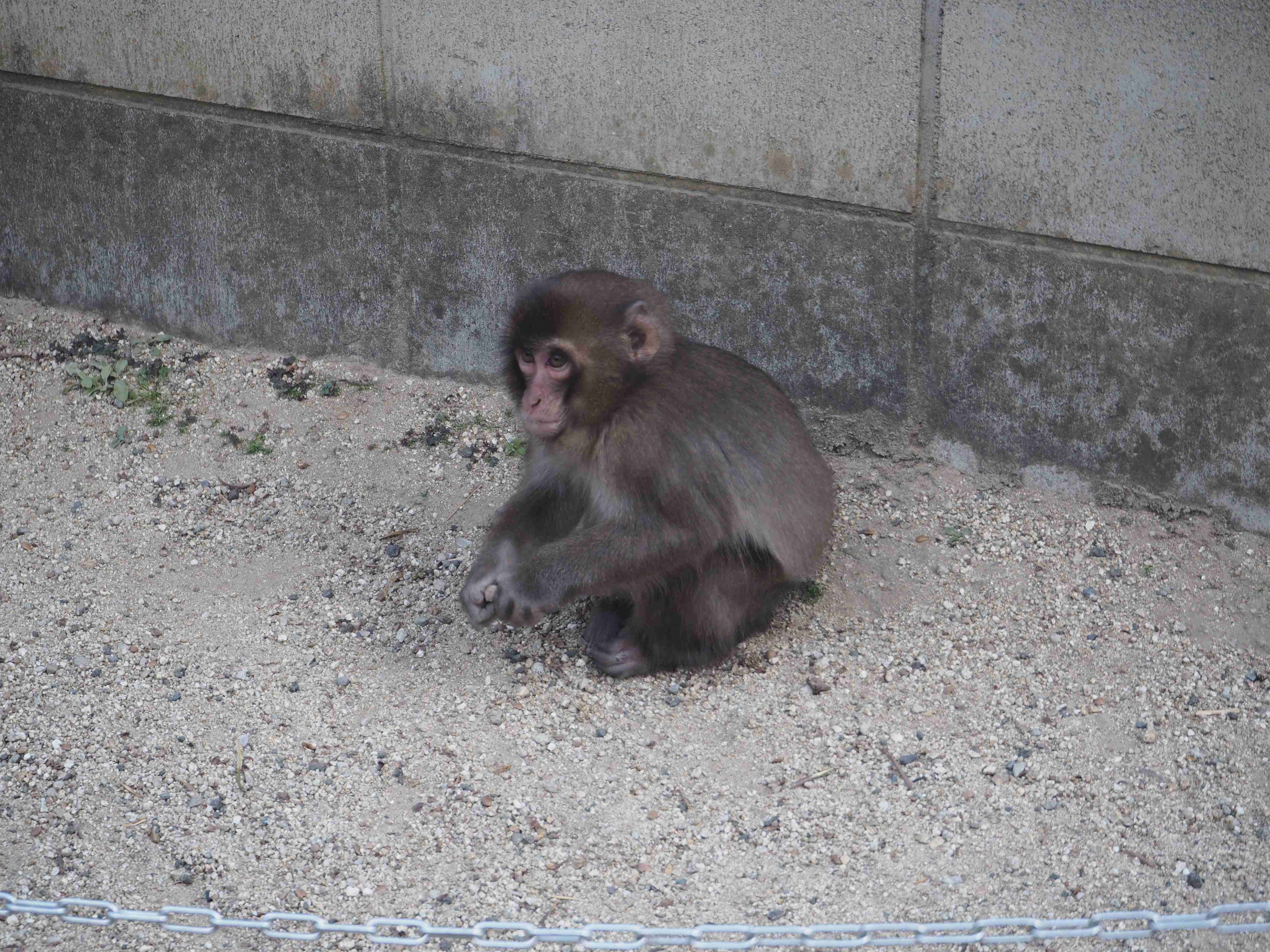 👹大分県を語る♨️