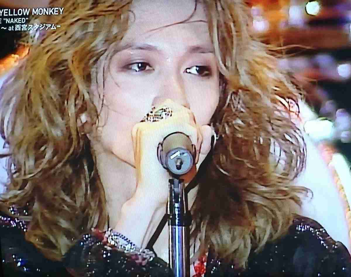 細くて華奢な男性アーティスト、俳優