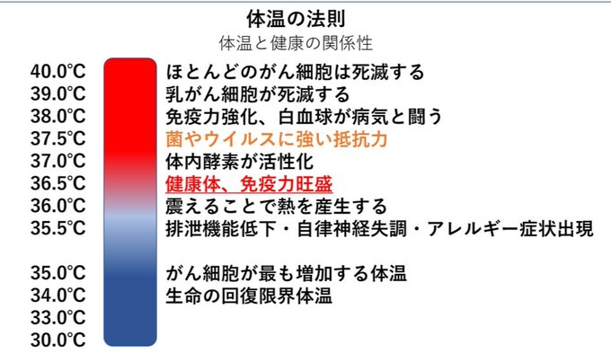 将来的に実用化しそうなもの