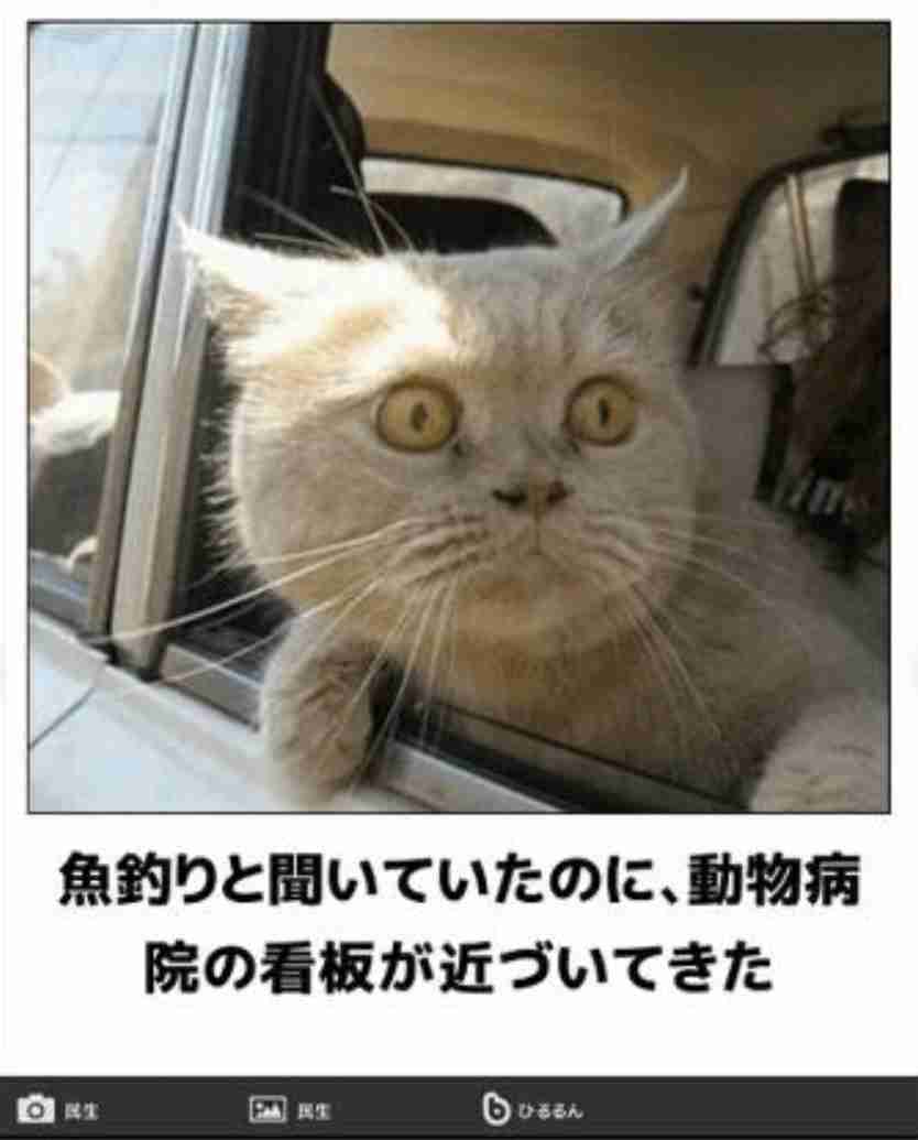 愛犬に「病院行こっか！」と話しかけたら…　ワンコが浮かべた「絶望顔」が強烈すぎて愛おしい
