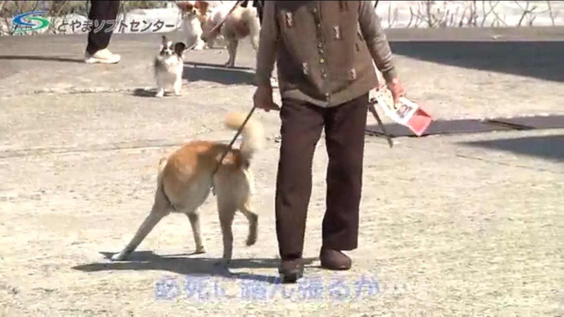 愛犬に「病院行こっか！」と話しかけたら…　ワンコが浮かべた「絶望顔」が強烈すぎて愛おしい