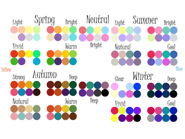 プロのパーソナルカラー・骨格・顔タイプ診断受けたことある人