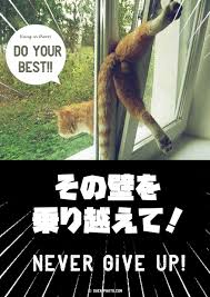 元気がでるトピ
