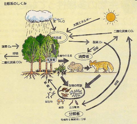 この世からなくなっても困らないもの