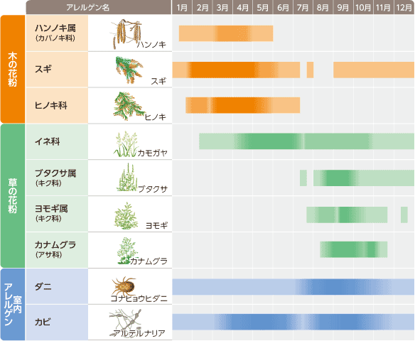 花粉症が辛い