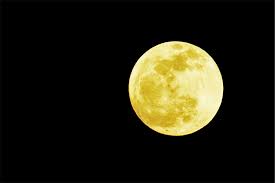 最近夜景見ましたか？