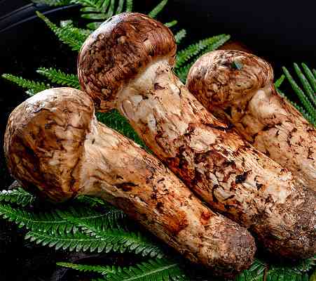 電車内で恥かいたエピソード