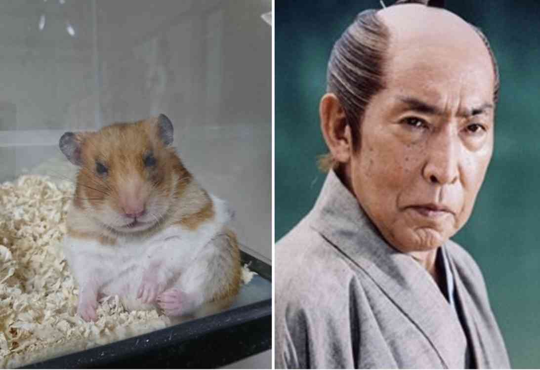 ふいに自撮りしてしまった時の感想を述べるトピ