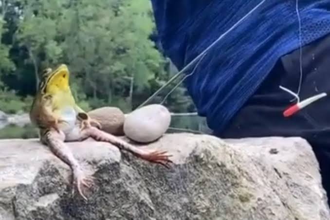 これ本当なの？と思った画像を貼るトピ