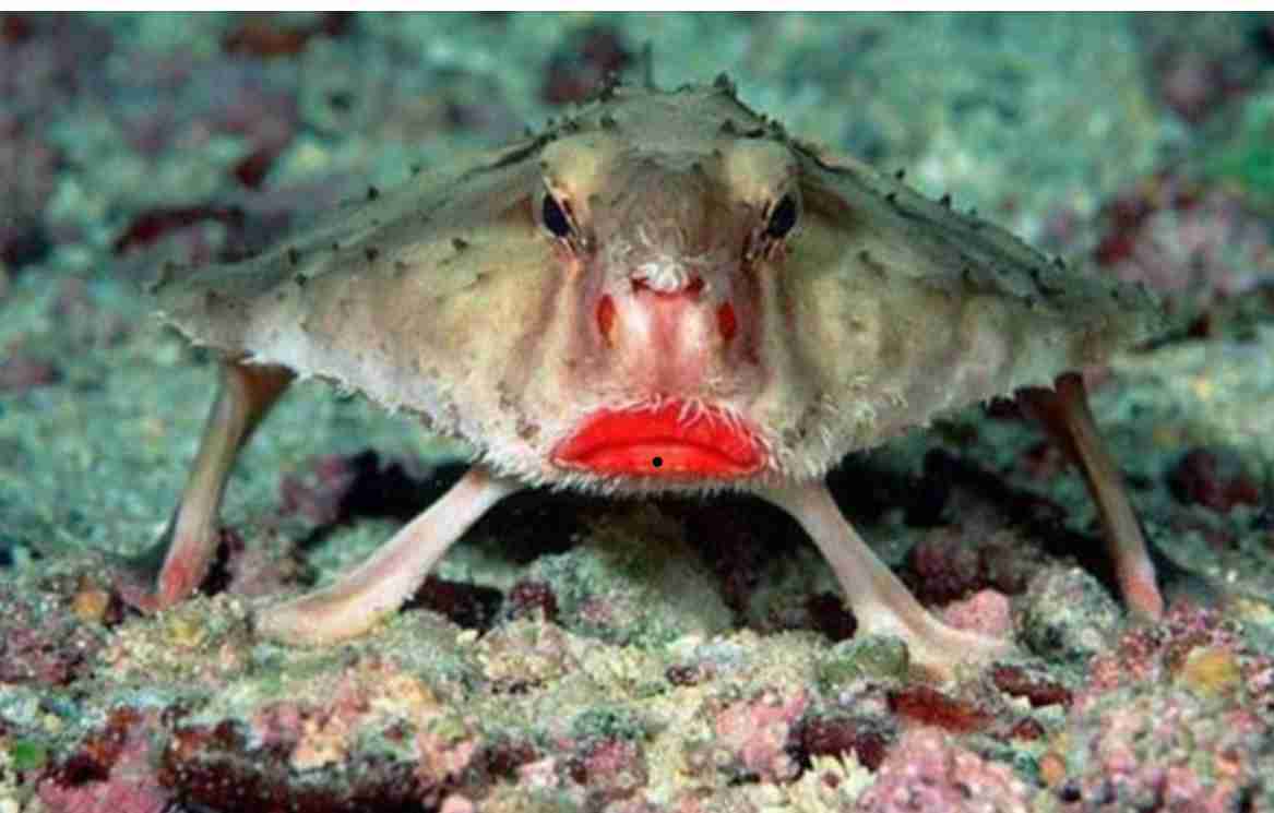 これ本当なの？と思った画像を貼るトピ