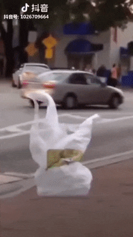 これ本当なの？と思った画像を貼るトピ