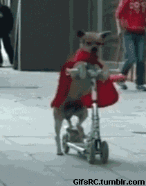 これ本当なの？と思った画像を貼るトピ