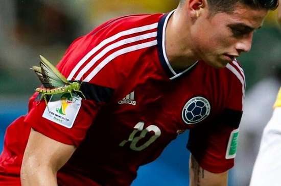 これ本当なの？と思った画像を貼るトピ