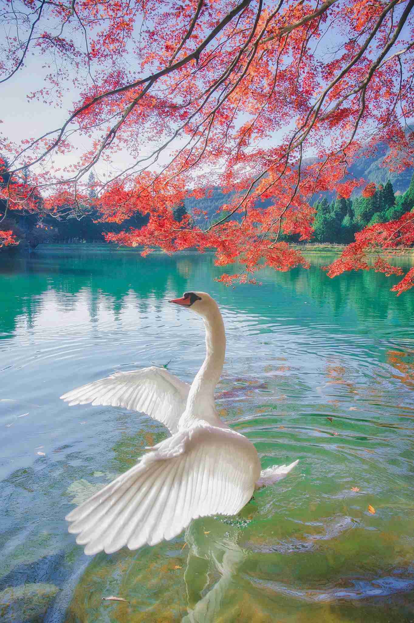 これ本当なの？と思った画像を貼るトピ