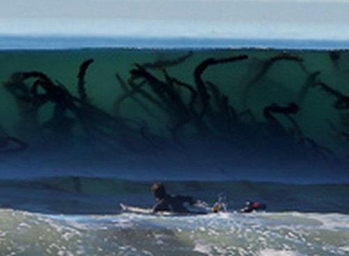 これ本当なの？と思った画像を貼るトピ