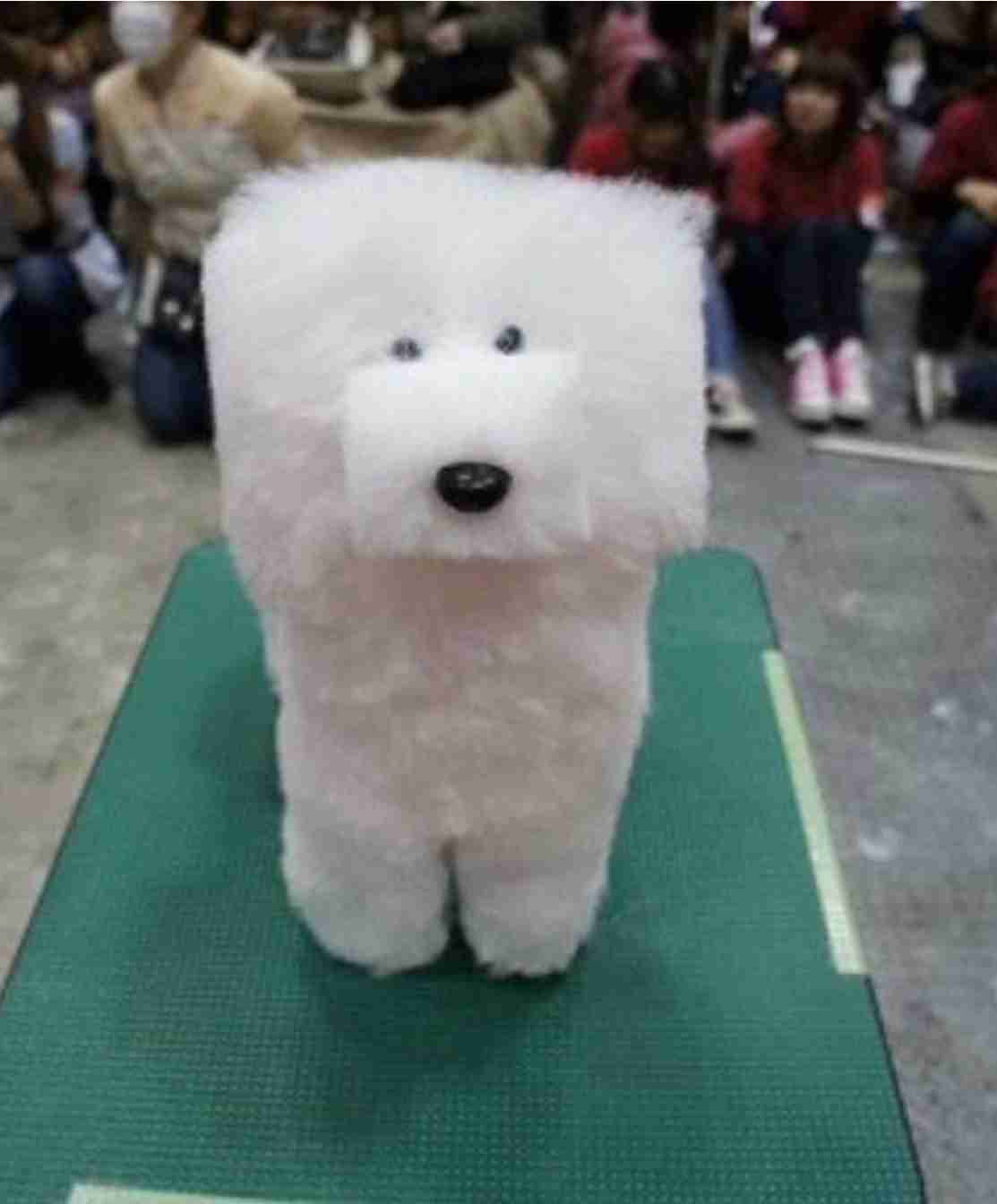 これ本当なの？と思った画像を貼るトピ