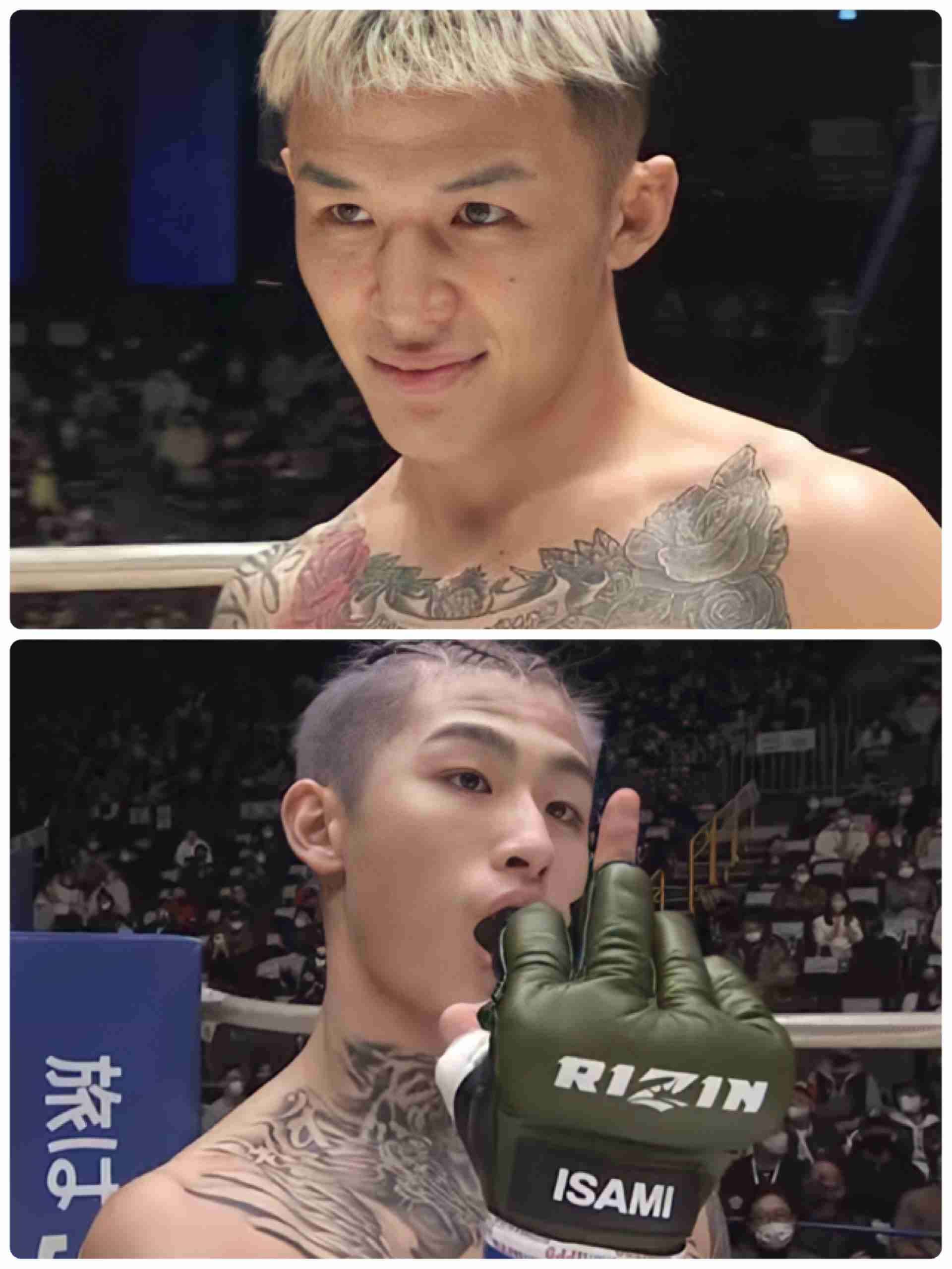 寒い画像選手権