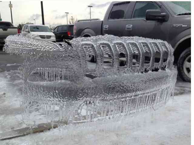 寒い画像選手権