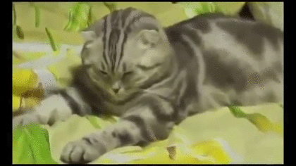 カクン寝はなぜ気持ちいい？