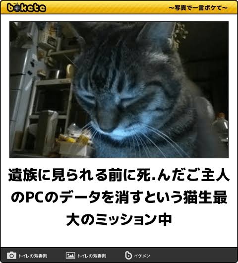 長生き出来ないだろうなと思ってるガル民