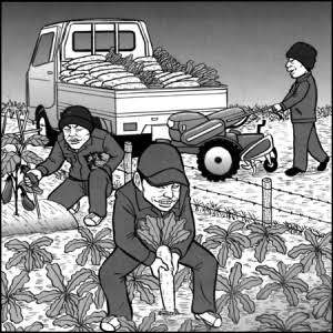 欲張らなきゃ良かった事