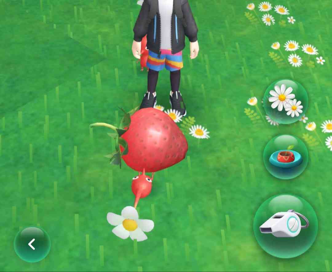 歩くことでピクミンの苗が育つ ARアプリ「Pikmin Bloom」発表