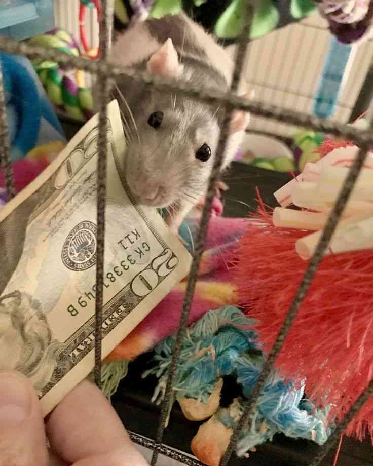 最低賃金で働いてる方
