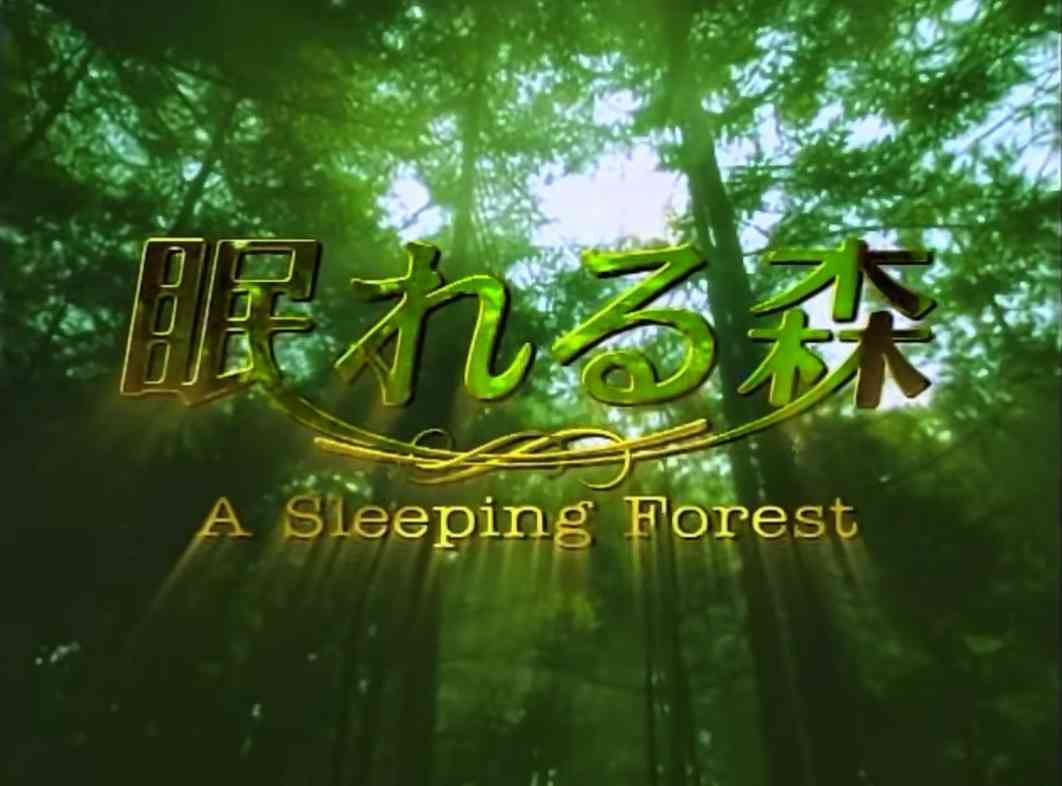 名作だと思うドラマOP