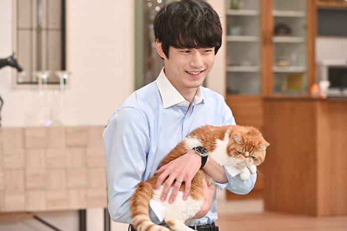 【実況・感想】火曜ドラマ「婚姻届に判を捺しただけですが」第6話