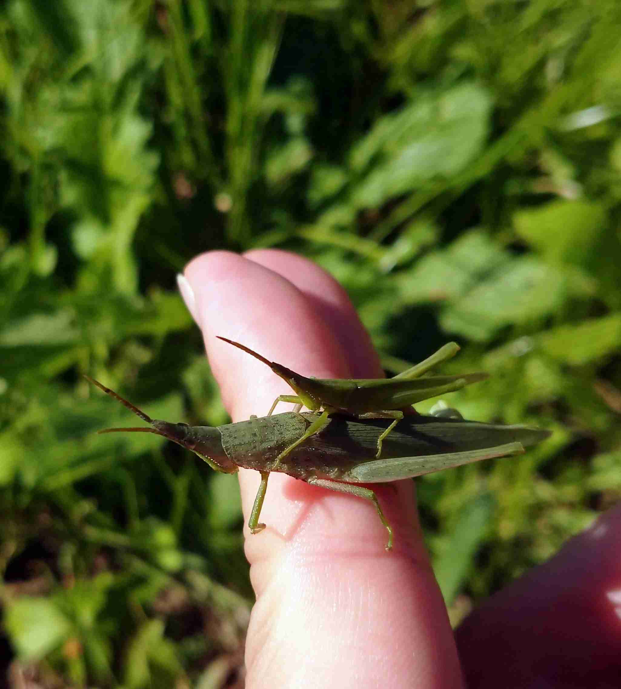 【いい夫婦の日】いろんな夫婦が見たい