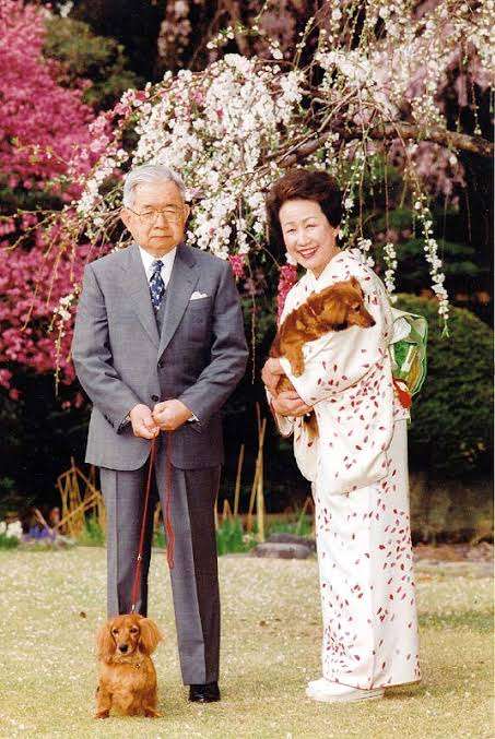 【いい夫婦の日】いろんな夫婦が見たい