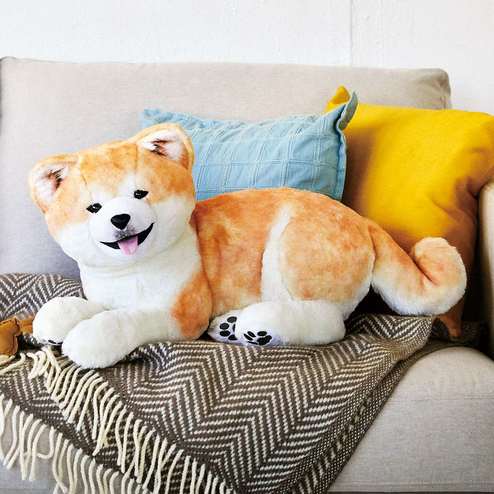 秋田犬好きな方!!