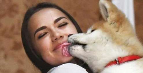 秋田犬好きな方!!