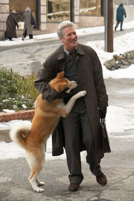 秋田犬好きな方!!
