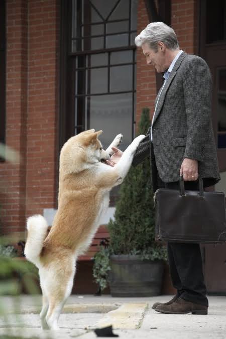 秋田犬好きな方!!