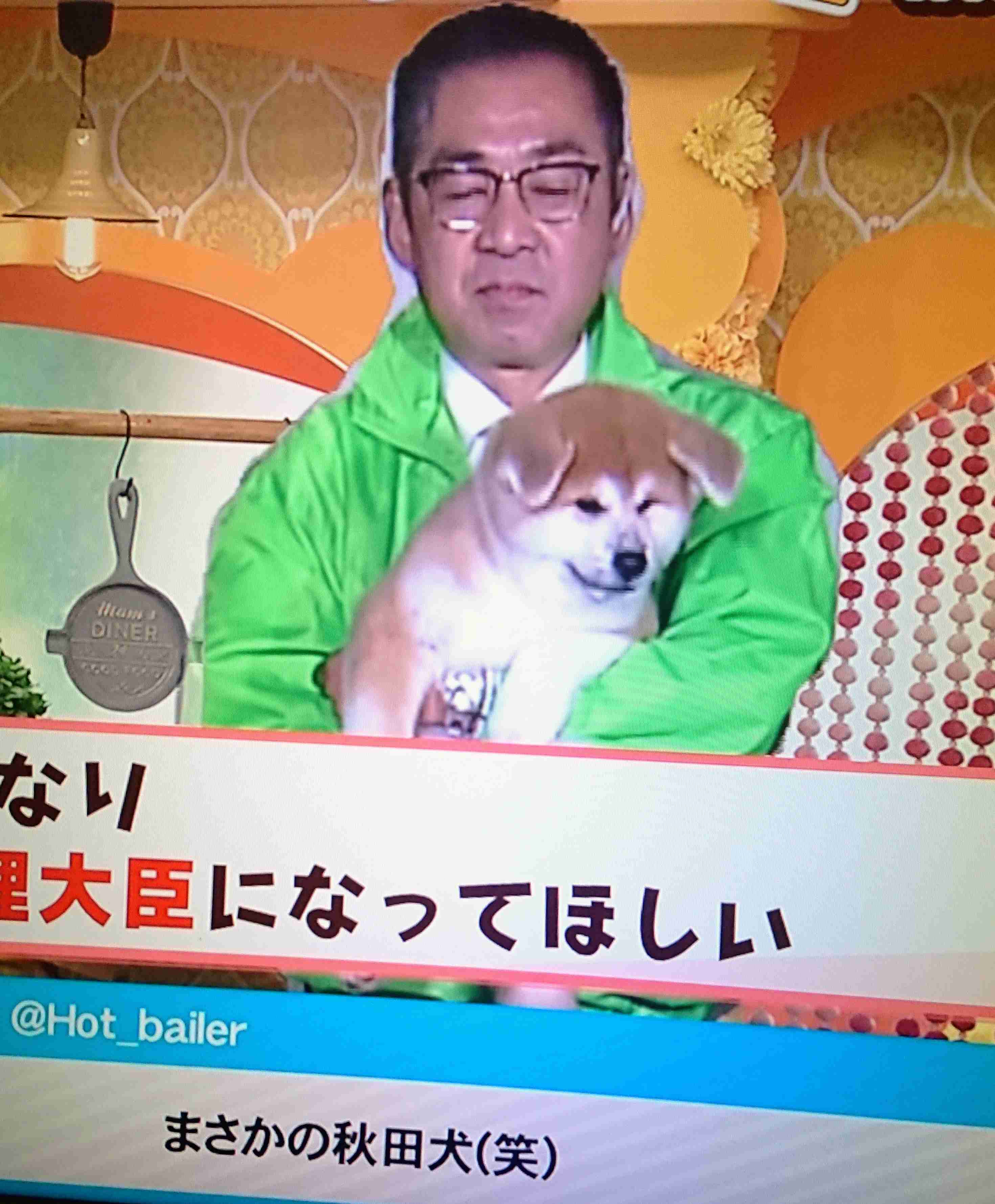 秋田犬好きな方!!