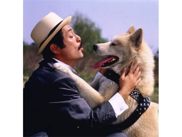 秋田犬好きな方!!