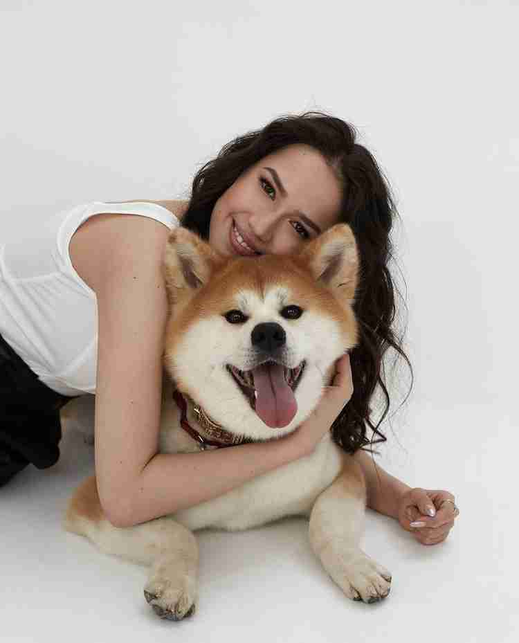 秋田犬好きな方!!