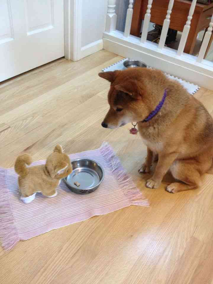 気のきいた返しができるよう改善したい