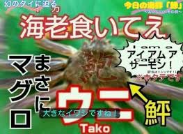 【実況・感想】衆院選2021 開票速報