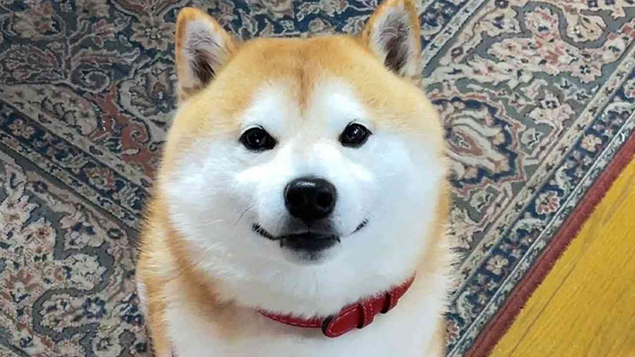 自分の笑った顔が嫌い
