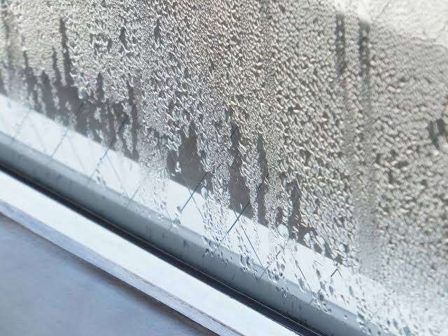 加湿器、種類によって最大30倍も電気代に差