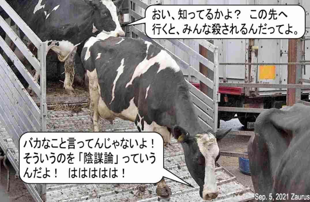陰謀論に疲れた人part3