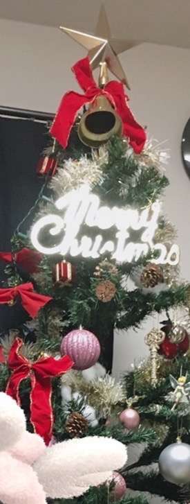 みんなのクリスマスツリーみせて!