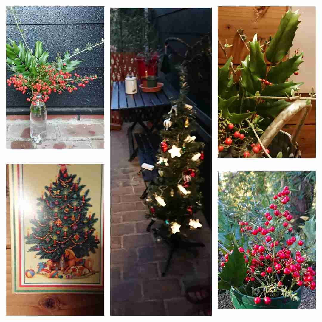 みんなのクリスマスツリーみせて!