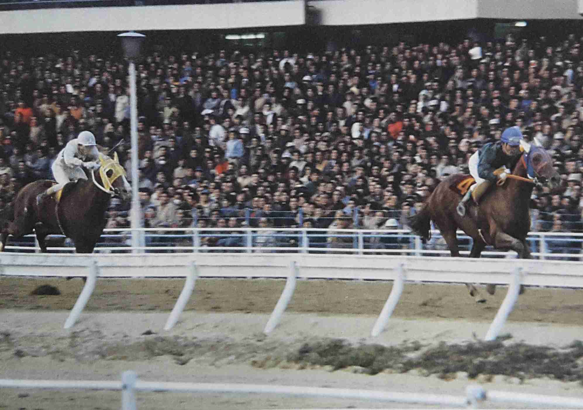平手友梨奈「騎手」ドラマで地方競馬盛り上がる 水沢では関連展示や冠レースも