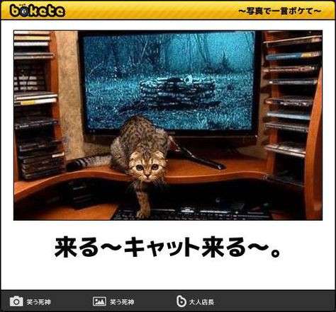 映画のワンシーンを文字で書いてタイトルが分かったらプラス
